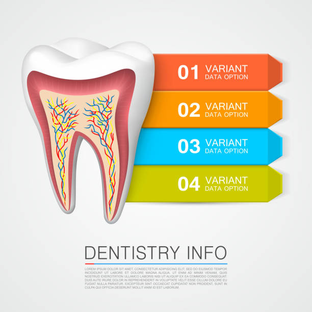 информация о зубах с проемом. стоматологическая информация. - bar stock illustrations