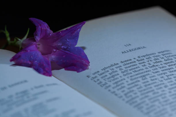 istock the flowers of evil 846521334