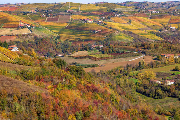 istock Autumnal rural view in Italy. 846522692