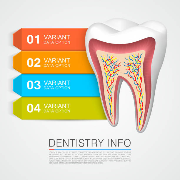 стоматология информация медицинского искусства - bar stock illustrations