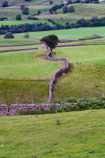 istock Dry stone wall in a field in the countryside 846528382
