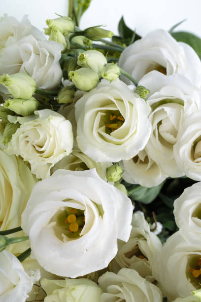 istock Close up of white roses 846531500