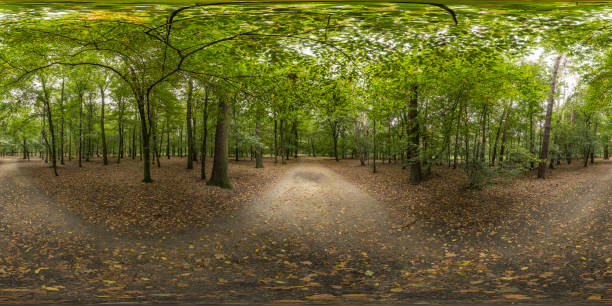 360 degrees spherical panoramic shot of green park in the summer afternoon