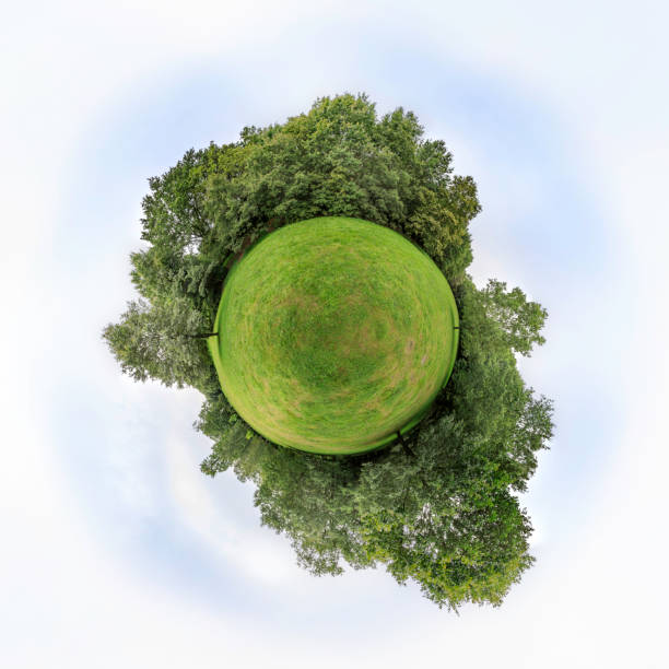istock late summer afternoon in a park (360 degree panorama) 846534656