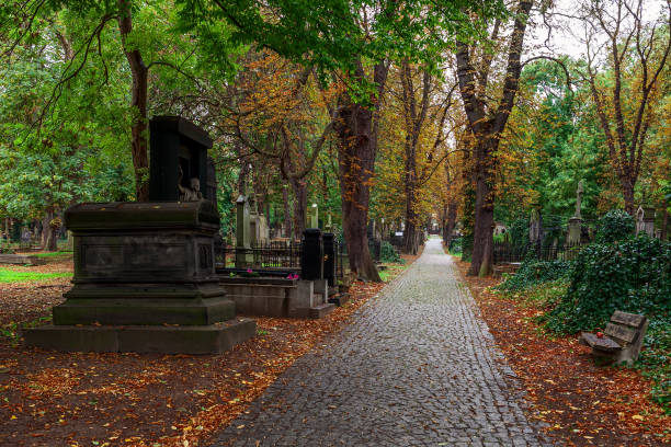 istock Alley among graves on old cemetery in Prague. 846534812