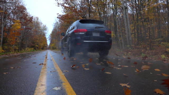 SLOW MOTION CLOSEUP Black SUV car driving on wet empty street over autumn leaves