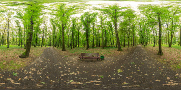 360 degrees spherical panoramic shot of green park in the summer afternoon