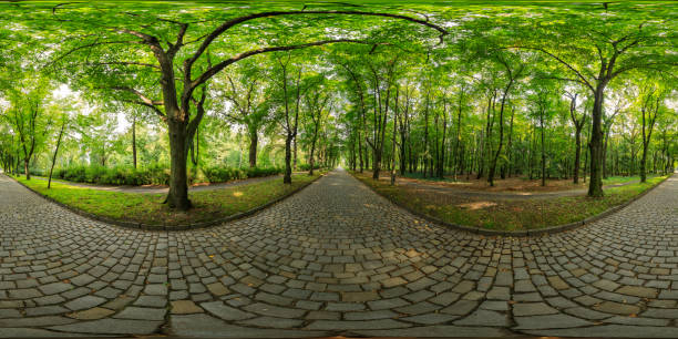 360 degrees spherical panoramic shot of green park in the summer afternoon
