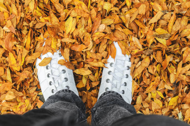 istock White Sneakers in Foliage Top View 846549682
