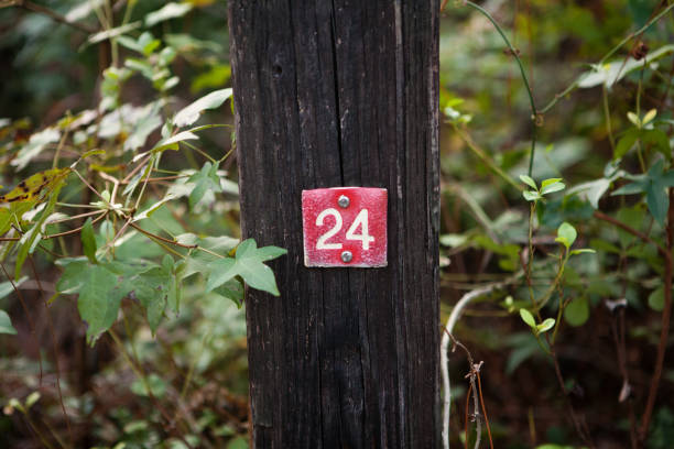 istock Number 24 on a wooden post 846552768