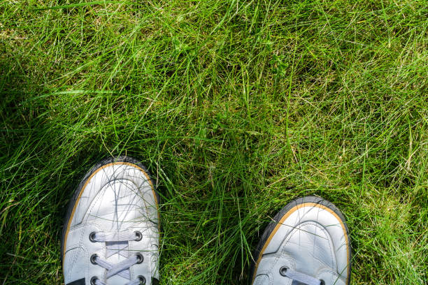 istock White Sneakers on a Green Grass Top View 846553024