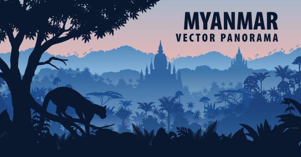 ilustrações, clipart, desenhos animados e ícones de panorama de vetor de myanmar com leopardo nebuloso na selva tropical - indochina wild animals cats travel locations