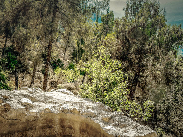 istock Hiking in Israel 846556106