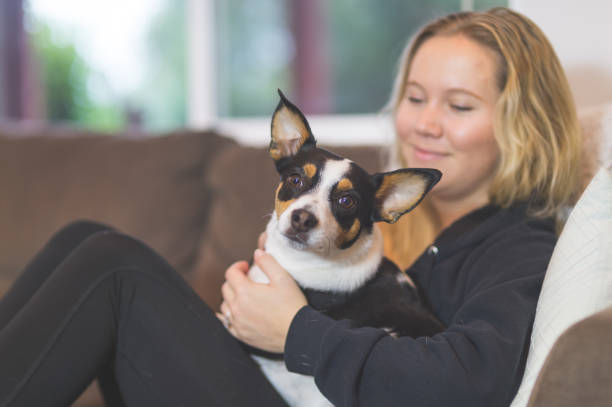 istock The Joy of Living with Pets 846558446