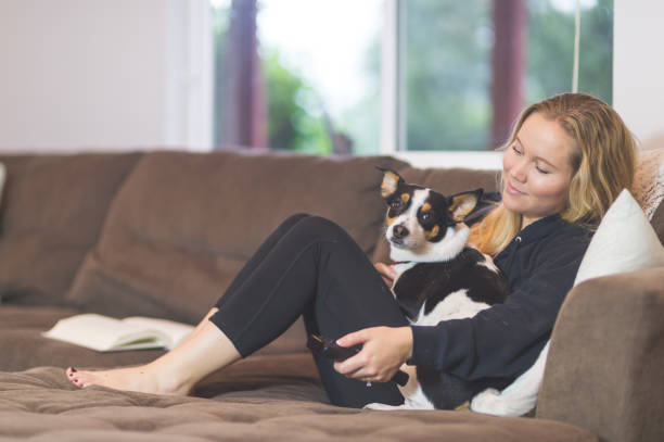 istock The Joy of Living with Pets 846558464