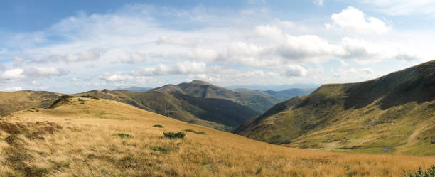 blick auf die karpaten. dragobrat. ukraine. panorama. - dragobrat stock-fotos und bilder