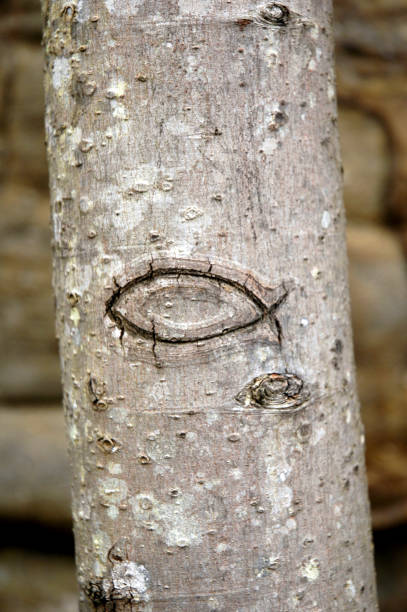 Religious fish symbol carved in tree bark. Religious Symbol.