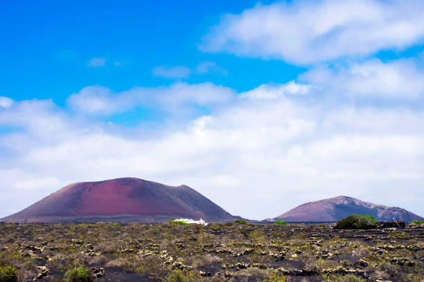 istock Volcano - The Wine Valley of La Geria 846561678