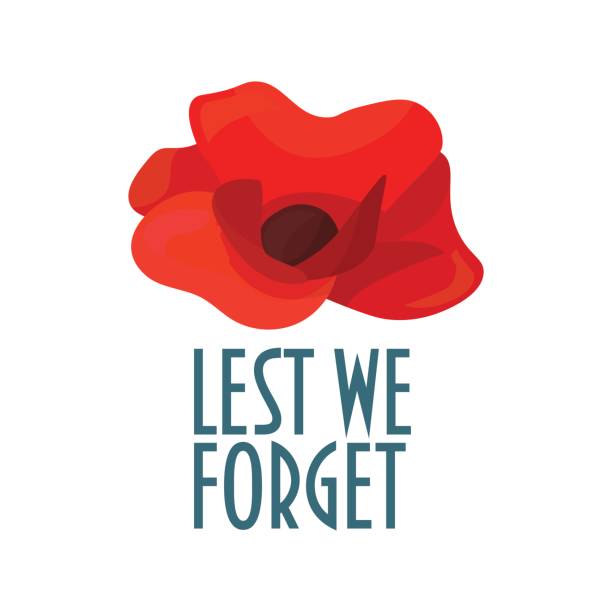 ilustraciones, imágenes clip art, dibujos animados e iconos de stock de vector ilustración de recuerdo día también conocido como amapola o día del armisticio: flor amapola minimalista y texto para que no nos olvidamos. - día anzac ilustraciones