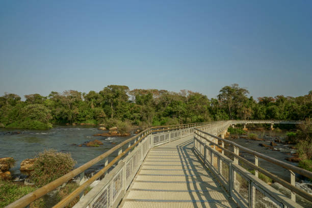 istock Elevated Walking Paths in Iguazu National Park in South America 846565202
