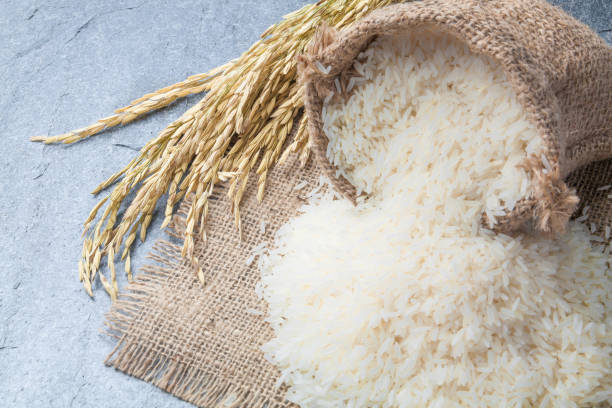 istock thai fragrant jasmine rice in a spoon with gold spike on Sack 846567442