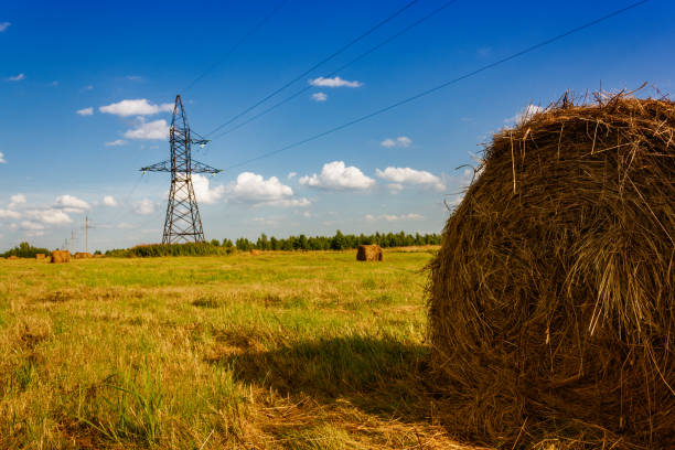 istock Ranches of hay in a meadow 846572874