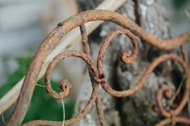 Details of structure of iron fence and gate. Object photo.