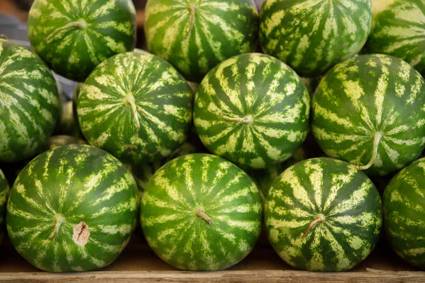 Watermelon at farmer's market