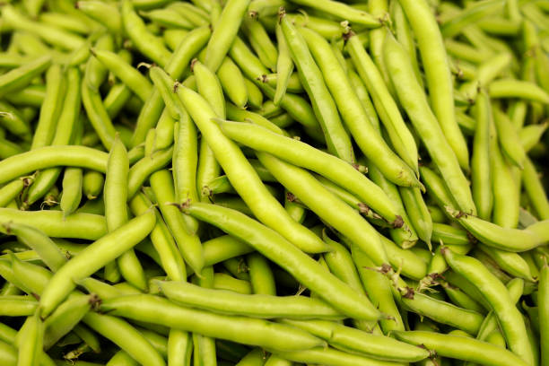 istock Fava beans at the farmer's market 846574554