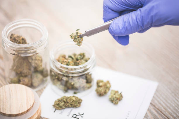 Medical Marijuana stock photo