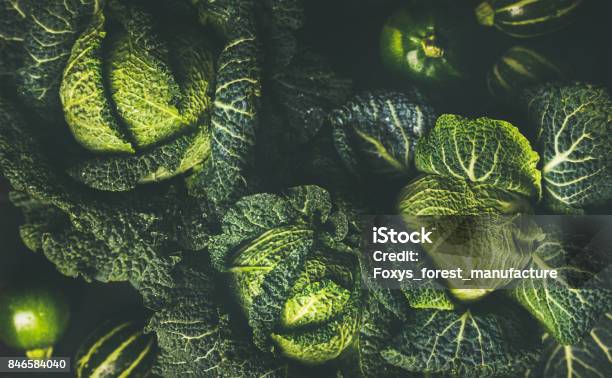 Raw Fresh Green Cabbage Texture And Background Stock Photo - Download Image Now - Cabbage, Food, Lettuce