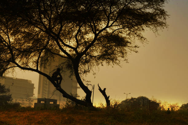 Young man sitting on the tree far from the city buildings.