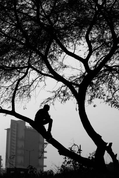 istock Young man sitting far from the city on the tree branch 846587078