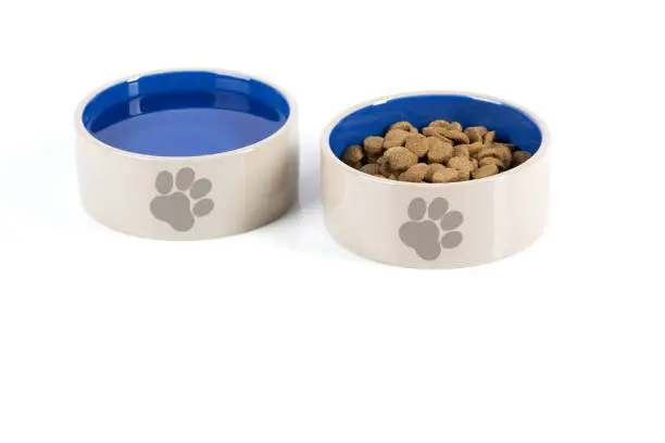 Two dog that are brown on the outside and blue on the inside, one is filled with water and the other medium sized dog food. Both bowls have a small dog print on the front of them.