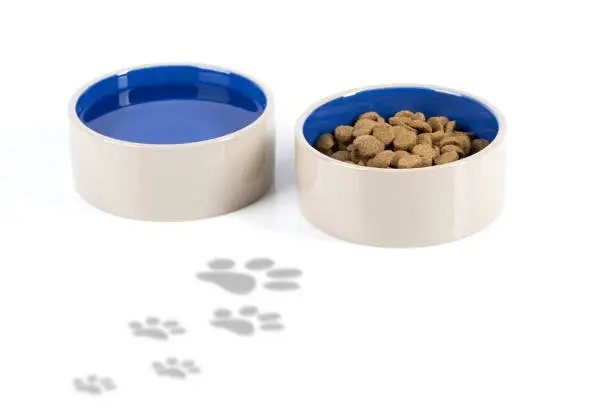 Two dog bowls that are light brown on the outside and blue on the inside. One is filled with water and the other is filled with medium sized dog food. Light gray dog prints are leading up to the dog bowls filled with food and water.