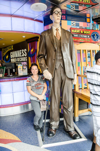 Woman standing besides a statue of Robert Wadlow, the tallest man ever Woman standing besides a statue of Robert Wadlow, the tallest man ever. According to the Guinness record book, When last measured on 27 June 1940, he was measuring 2.72 m (8 ft 11.1 in) tall. This statue is just out on the street in front of the Guinness Record museum in Niagara Falls. guinness photos stock pictures, royalty-free photos & images