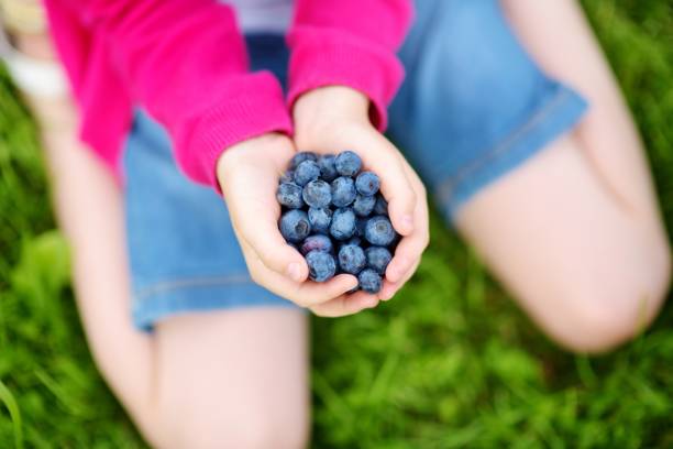 istock Close-up of childs hands holding fresh blueberries 846602372