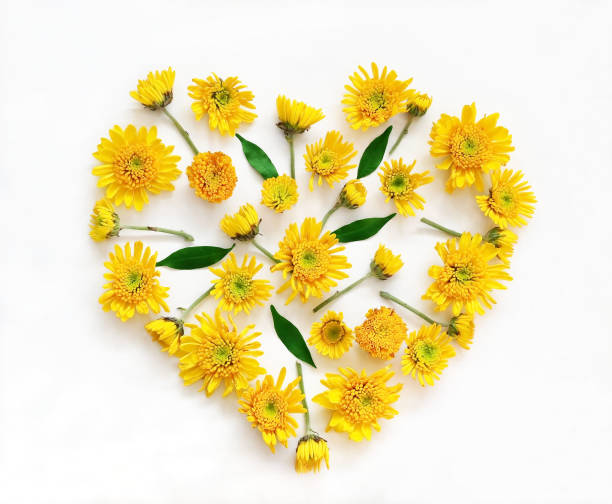 istock Flowers composition in shape of heart 846609002