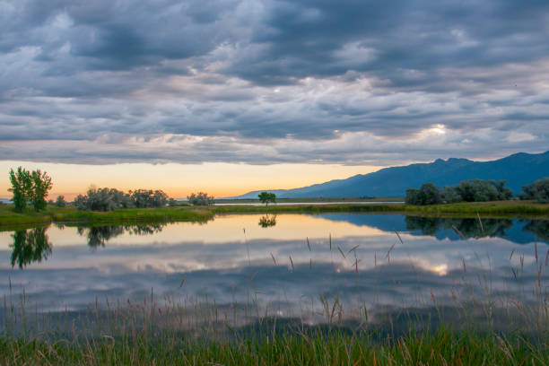 istock Sunrise over a Wildlife Refuge 846615448