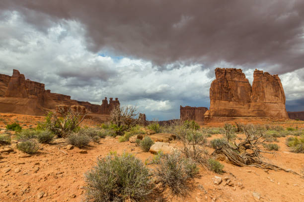 istock Dramatic storm clouds in the Arizona desert, in autumn 846622590