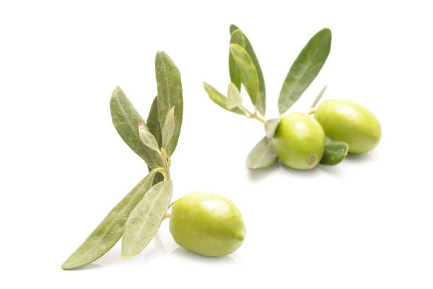 istock green olives on branch with leaves isolated on white 846625922