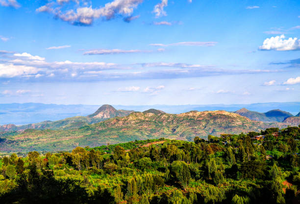 luftbild, mago nationalpark, omo-tal, äthopien - ethiopian people stock-fotos und bilder