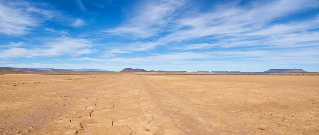 A dirt track leads through Northern Cape desert landscape, Southern Africa