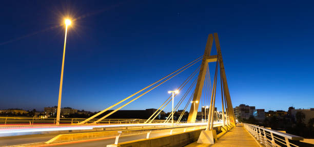 istock Bridge of the Generality in Elche. 846646090