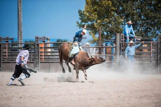 Photo of Wild cowboy competing