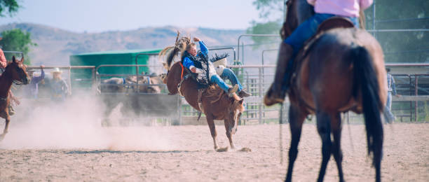 istock Cowboy in rodeo arena 846653594