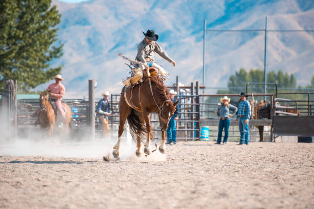 istock I have to be the best in bucking this year 846653636