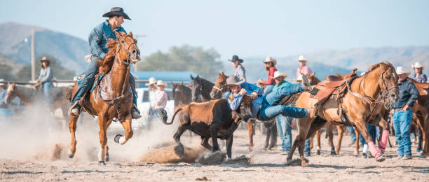 istock We are bull wrestlers 846653644