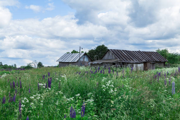 istock Old wooden hut in village 846661432