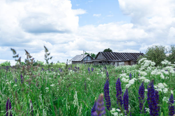 istock Old wooden hut in village 846661434
